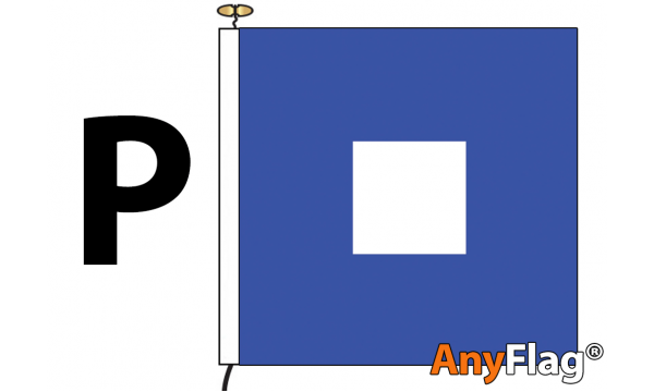 Signal Code P Flag (PAPA)